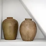 Het Vergulde Visje בית הארחה