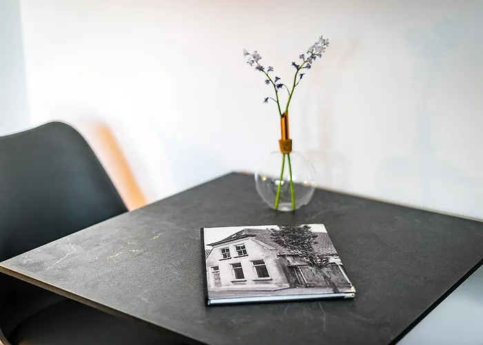 Het Vergulde Visje Gasthuis 3*