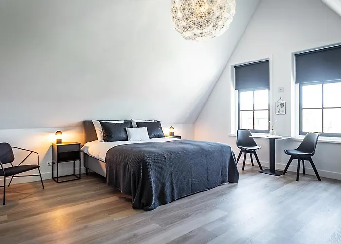 Gasthuis Het Vergulde Visje Den Burg