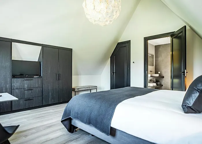 Het Vergulde Visje 3* Den Burg