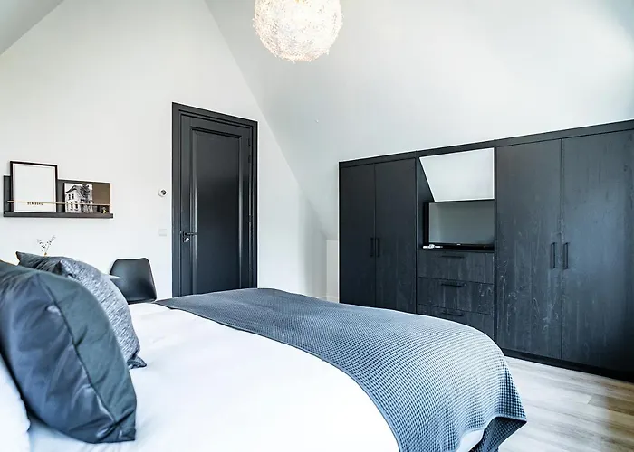 Het Vergulde Visje Den Burg